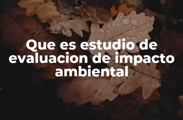 Que es Estudio de Evaluacion de Impacto Ambiental