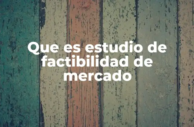 Que es Estudio de Factibilidad de Mercado
