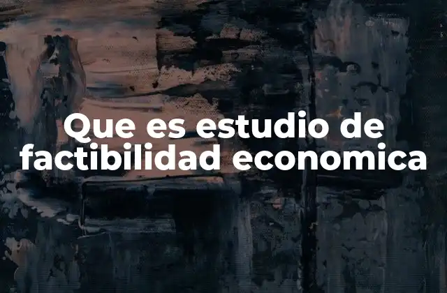 Que es Estudio de Factibilidad Economica