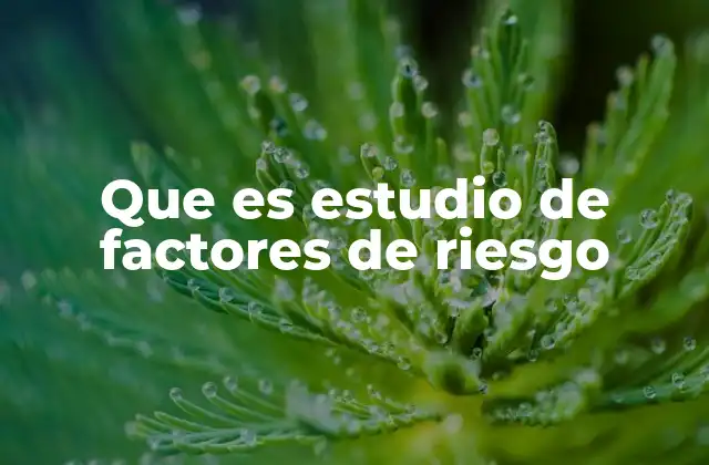 Que es Estudio de Factores de Riesgo