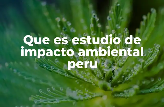Que es Estudio de Impacto Ambiental Peru