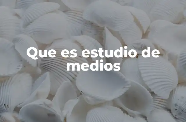 Que es Estudio de Medios