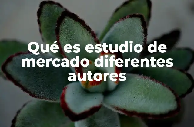 Qué es Estudio de Mercado Diferentes Autores
