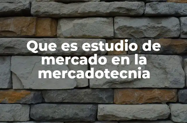Que es Estudio de Mercado en la Mercadotecnia
