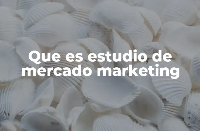 Que es Estudio de Mercado Marketing