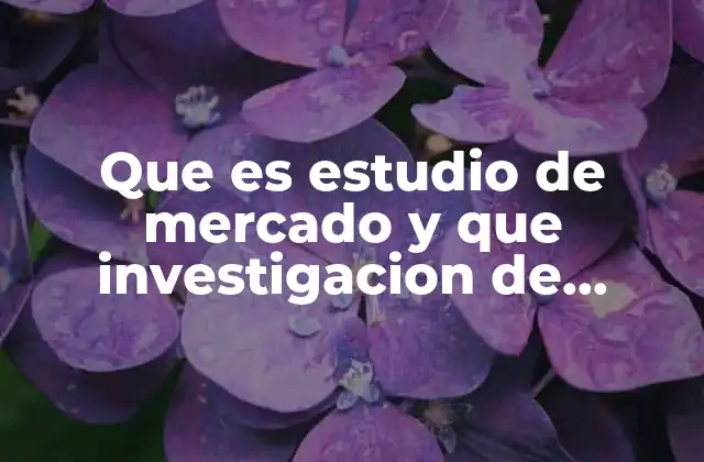 Que es Estudio de Mercado y que Investigacion de Mercado