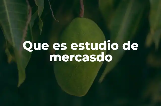 Que es Estudio de Mercasdo
