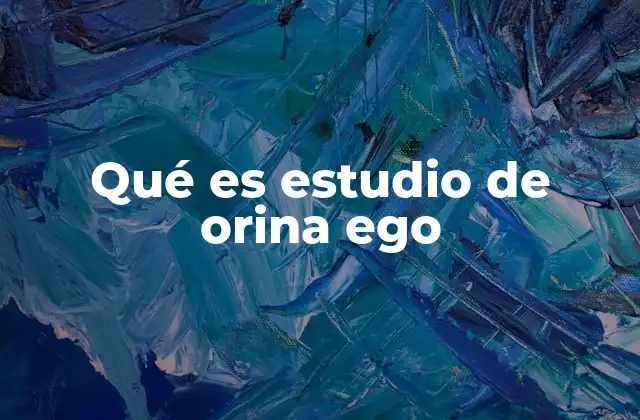 Qué es Estudio de Orina Ego