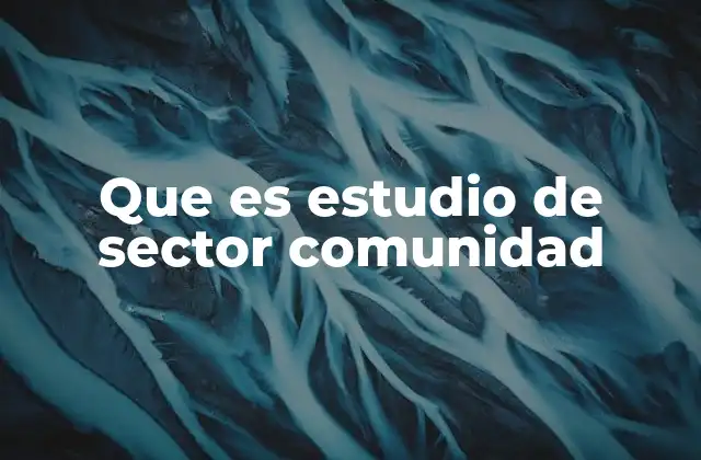 Que es Estudio de Sector Comunidad