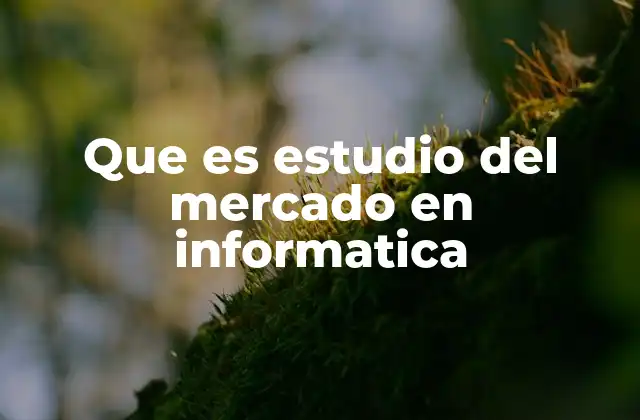 Que es Estudio Del Mercado en Informatica
