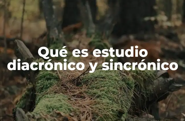Qué es Estudio Diacrónico y Sincrónico