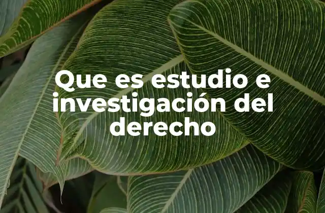 Que es Estudio e Investigación Del Derecho