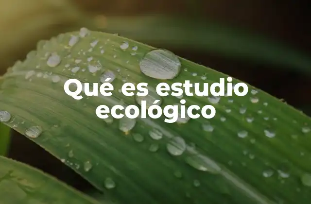Qué es Estudio Ecológico