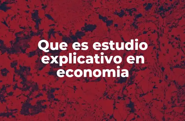 Que es Estudio Explicativo en Economia