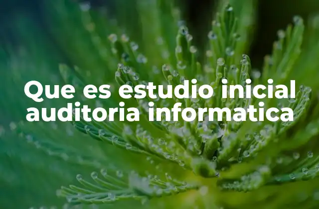 Que es Estudio Inicial Auditoria Informatica 2 La importancia de evaluar el entorno tecnológico antes de auditar