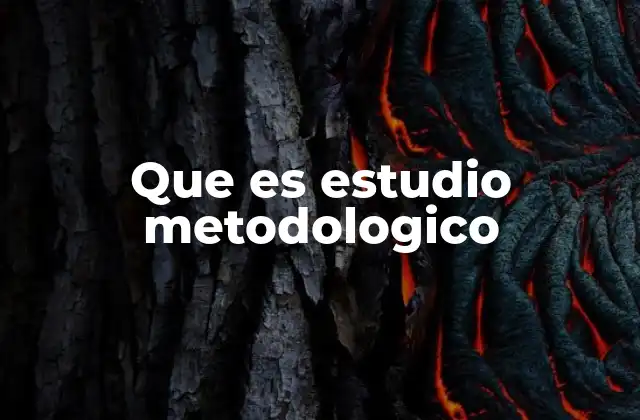 Que es Estudio Metodologico