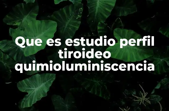 Importancia del estudio tiroideo en la salud general