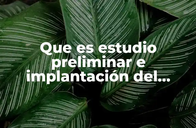 Que es Estudio Preliminar e Implantación Del Sistema