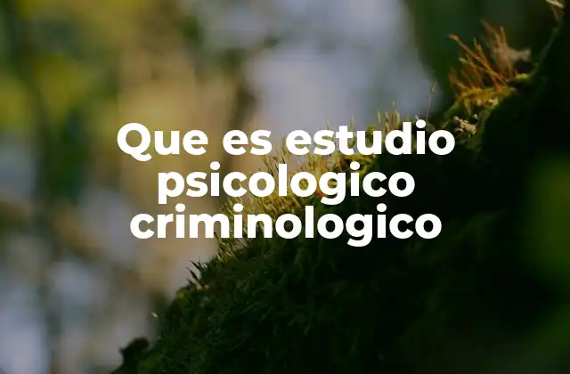 La intersección entre psicología y criminología