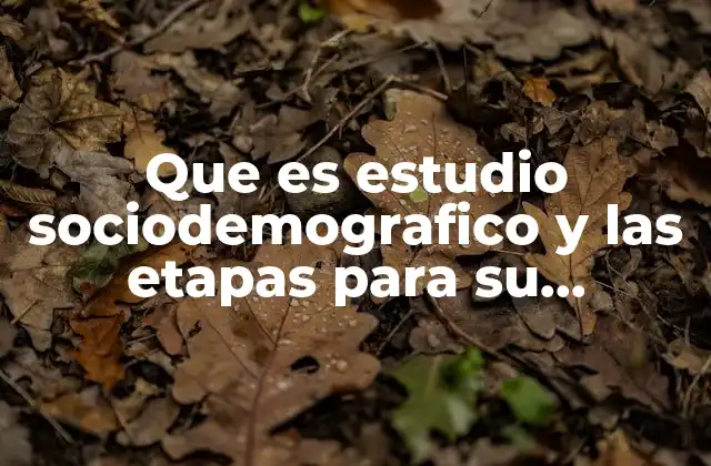 Que es Estudio Sociodemografico y las Etapas para Su Desarrollo