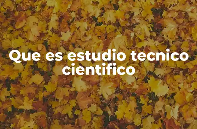 Que es Estudio Tecnico Cientifico