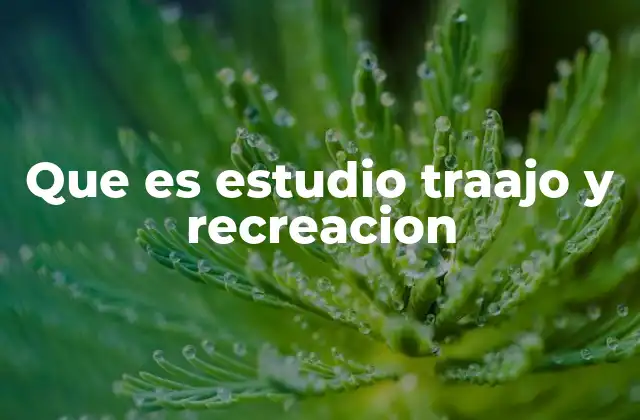 Que es Estudio Traajo y Recreacion