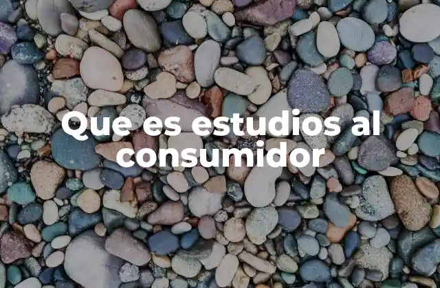 Que es Estudios Al Consumidor