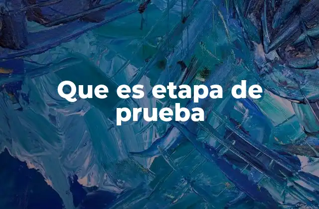 Que es Etapa de Prueba