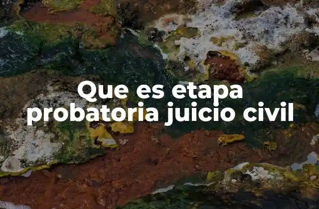 Que es Etapa Probatoria Juicio Civil