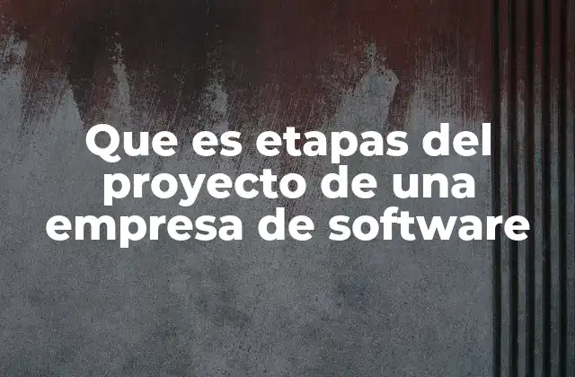 Que es Etapas Del Proyecto de una Empresa de Software