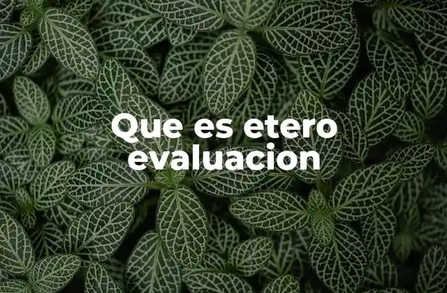 Que es Etero Evaluacion