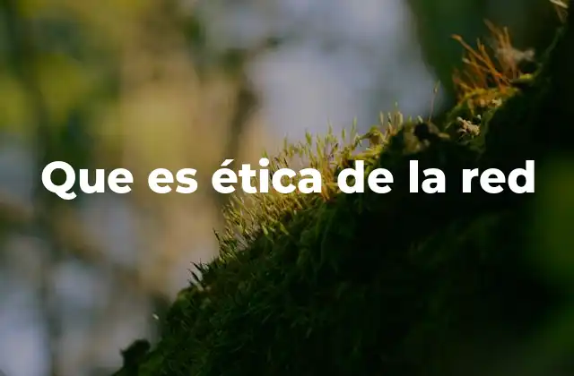 Que es Ética de la Red