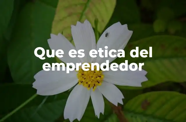 Que es Etica Del Emprendedor 2 El papel de los valores en la toma de decisiones empresariales