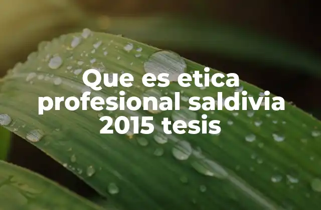 Que es Etica Profesional Saldivia 2015 Tesis