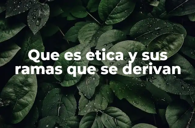 Las diferentes dimensiones de la ética y sus aplicaciones
