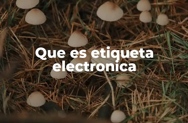 Que es Etiqueta Electronica 2 Aplicaciones de las etiquetas electrónicas en la vida moderna