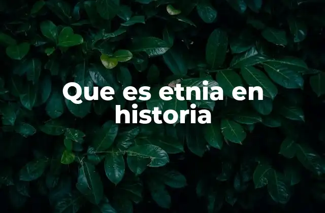 Que es Etnia en Historia