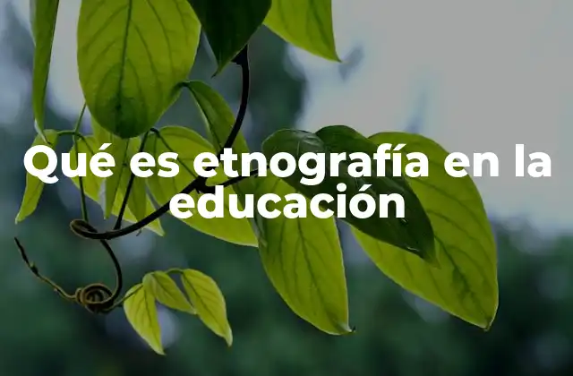 Qué es Etnografía en la Educación