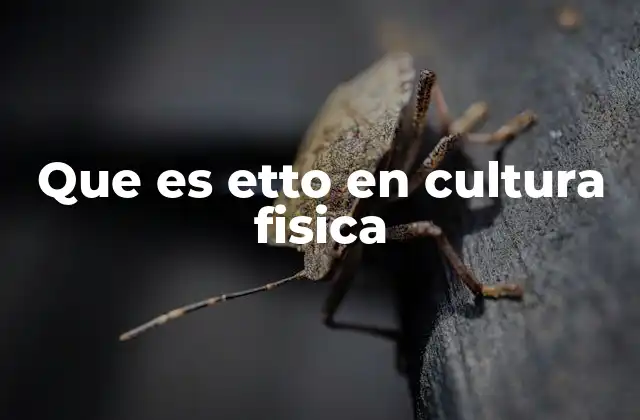 Que es Etto en Cultura Fisica