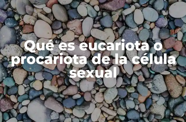 Qué es Eucariota o Procariota de la Célula Sexual