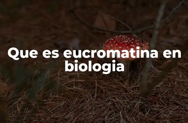 Que es Eucromatina en Biologia 2 La estructura y organización de la eucromatina