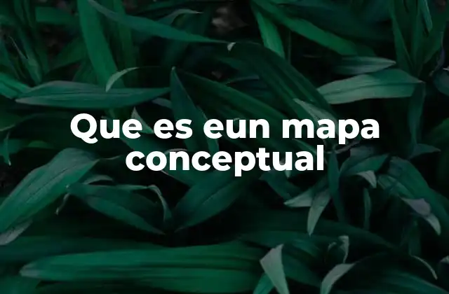 Que es Eun Mapa Conceptual