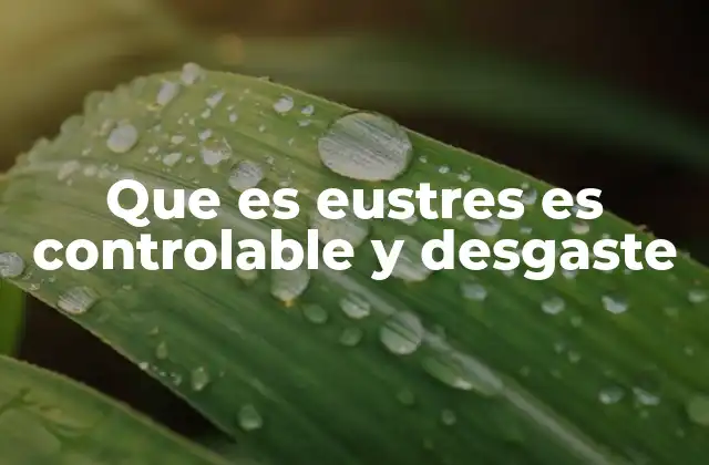 Que es Eustres es Controlable y Desgaste
