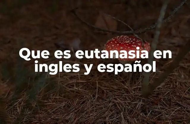 Que es Eutanasia en Ingles y Español