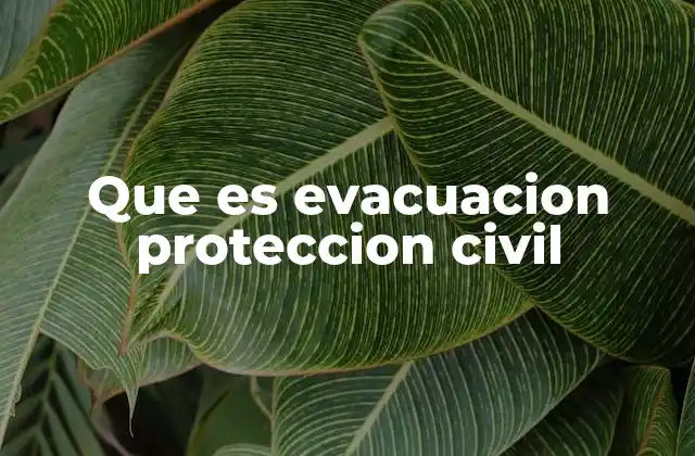Que es Evacuacion Proteccion Civil