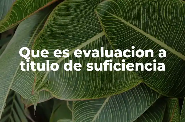 El papel de la evaluación a título de suficiencia en la auditoría