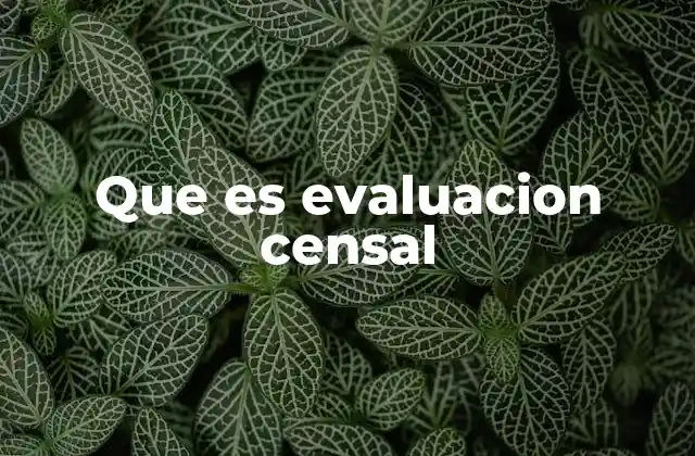 Que es Evaluacion Censal