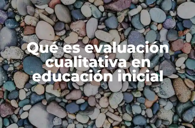 El enfoque de la evaluación cualitativa en los primeros años
