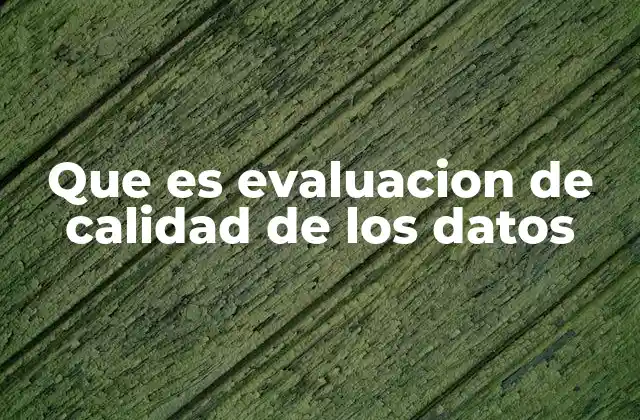 Que es Evaluacion de Calidad de los Datos