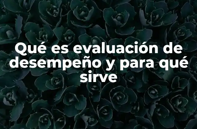 Qué es Evaluación de Desempeño y para Qué Sirve